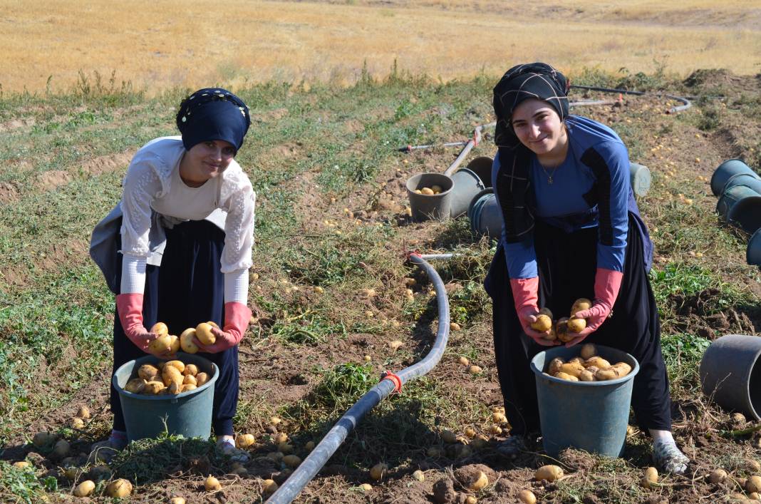 Fiyatlarda büyük kırılma! Yarı yarıya düştü 1